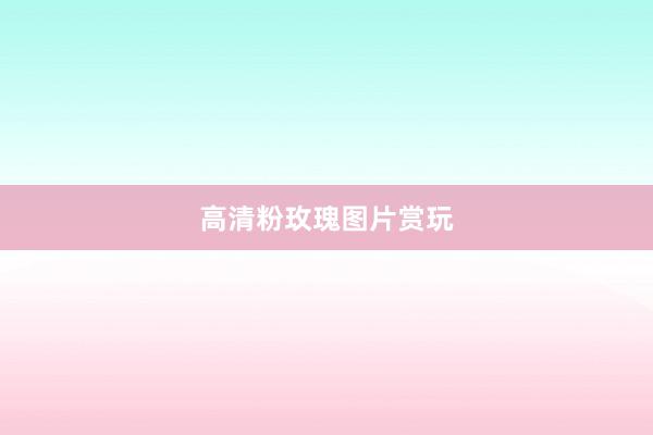 高清粉玫瑰图片赏玩