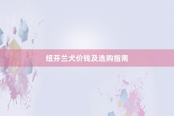 纽芬兰犬价钱及选购指南