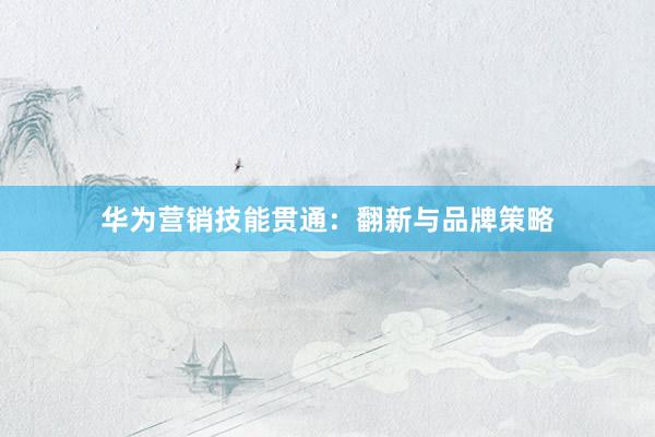 华为营销技能贯通：翻新与品牌策略